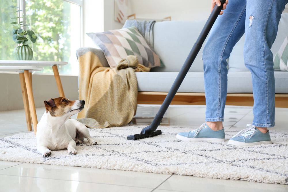 How-do-you-keep-your-house-clean-with-pets