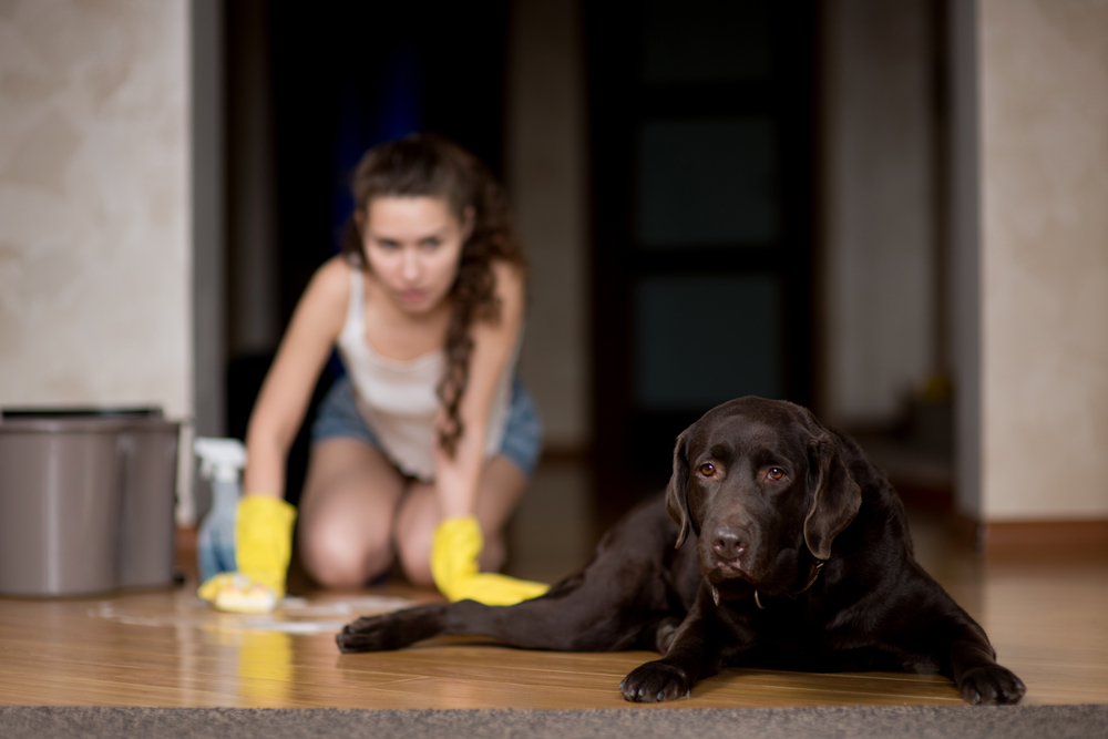 How to Clean Your Floors with Pets & Babies