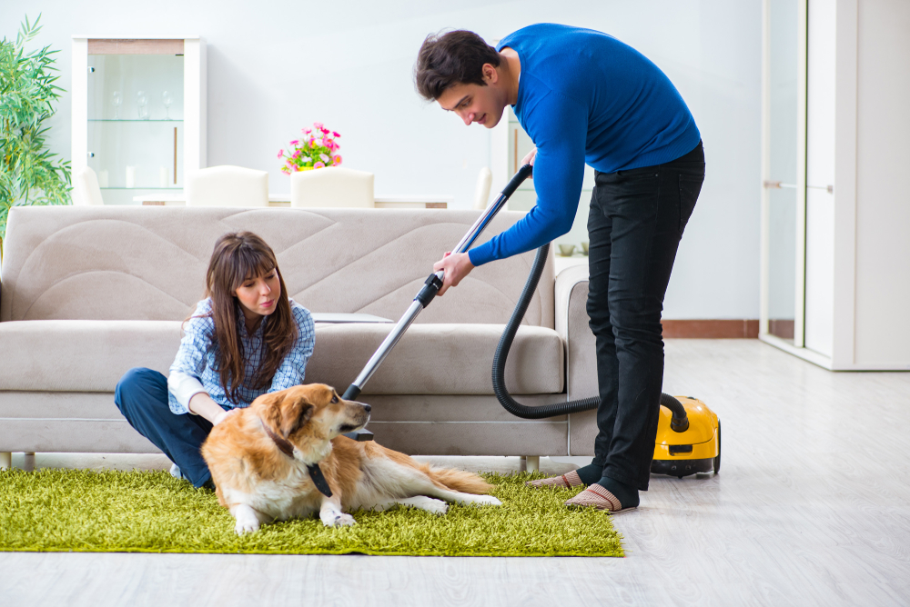 How to Keep Your House Spotless with Pets Around