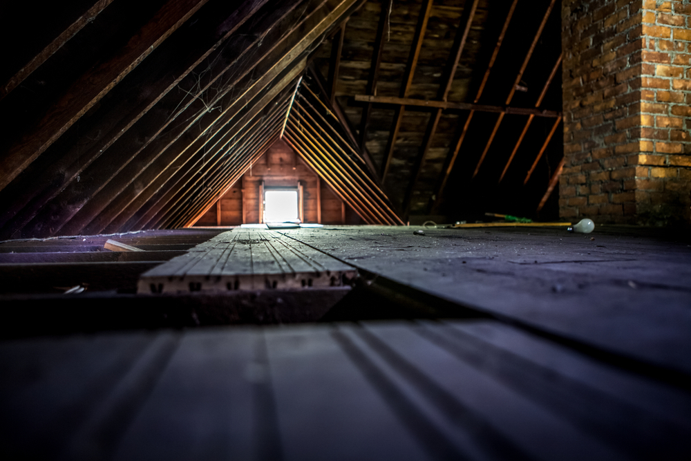 Attic Cleaning 101: How to Clean Your Attic Like a Pro