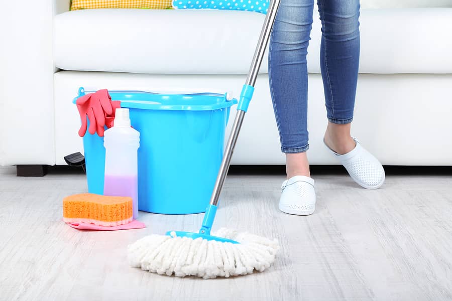 professional home maid services