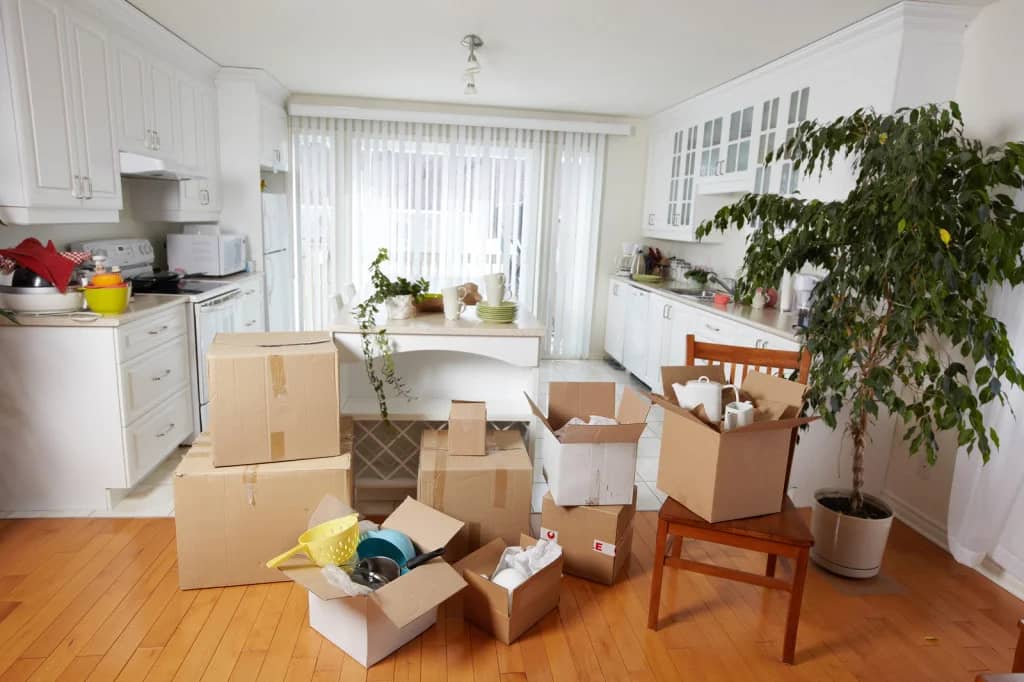 moving cleaning services
