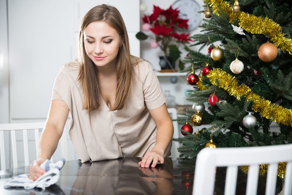 holiday cleaning services