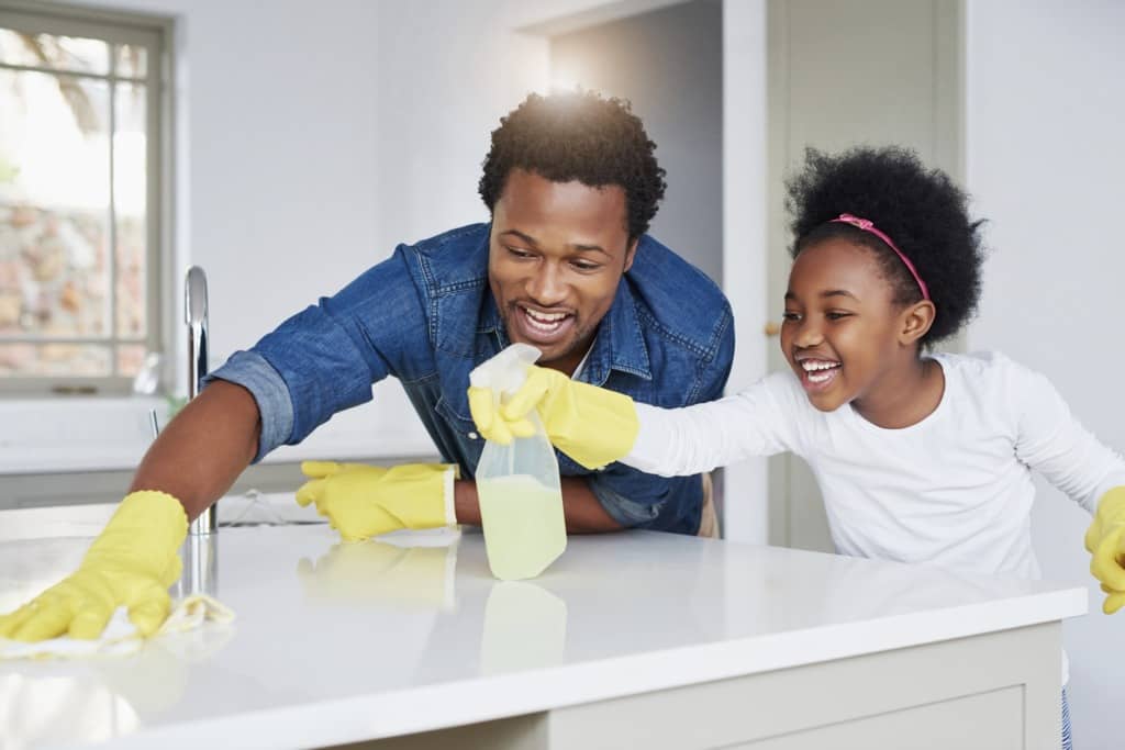 healthy home cleaning service