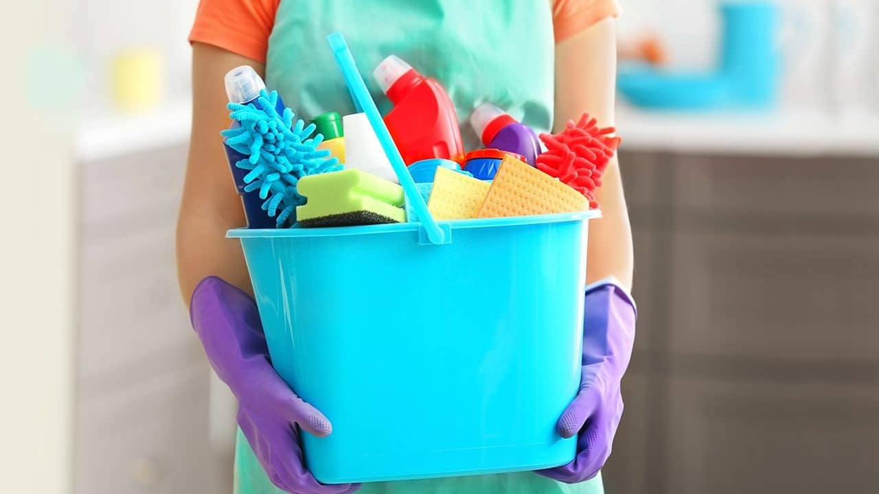 professional cleaners for home