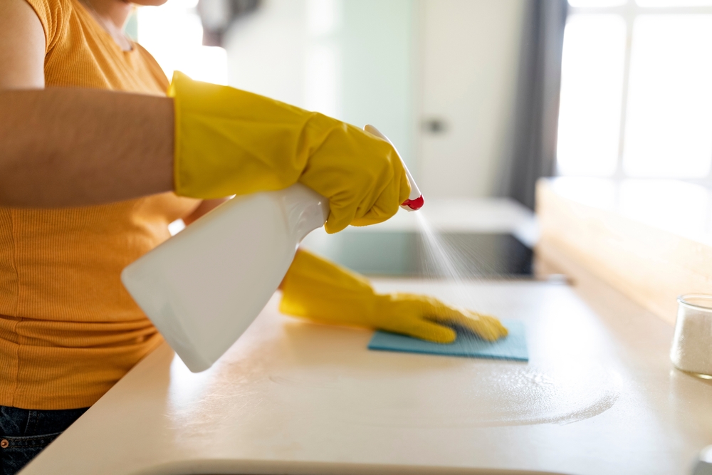 professional maid services near me in Boulder, CO